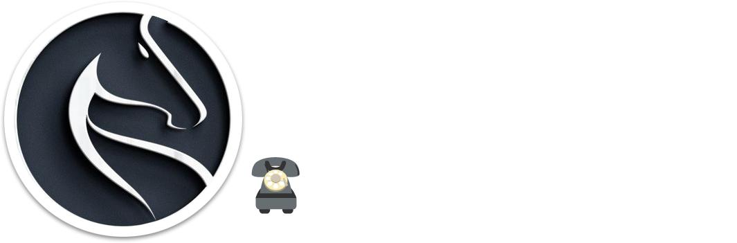 Pony Hair Salon